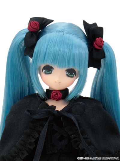 PureNeemo Rose Queen 