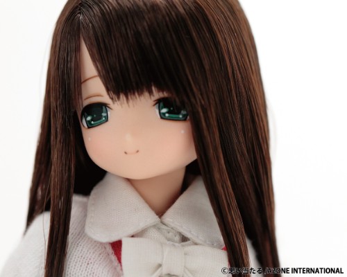 PureNeemo DS Version 