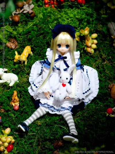 PureNeemo Classic Alice 