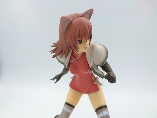 光明之风 猫