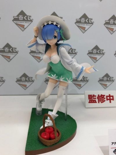 一番赏 Re：从零开始的异世界生活 雷姆 Another Color ver. 