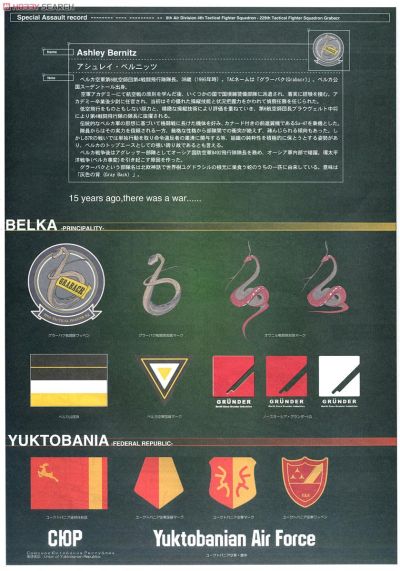 Creator Works 皇牌空战Zero:贝尔卡战争 Su-47 Berkut