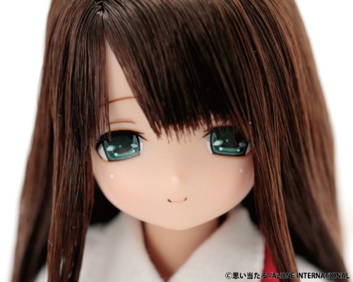 PureNeemo DS Version 