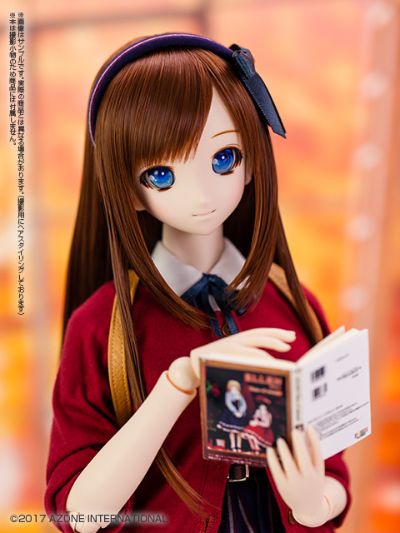 艾莉丝 收集 ver.1.1 