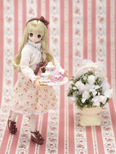 PureNeemo Secret Wonderland - DS ver. 