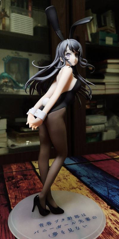 青春期笨蛋不做兔女郎学姐的梦 樱岛麻衣 ～兔女郎～