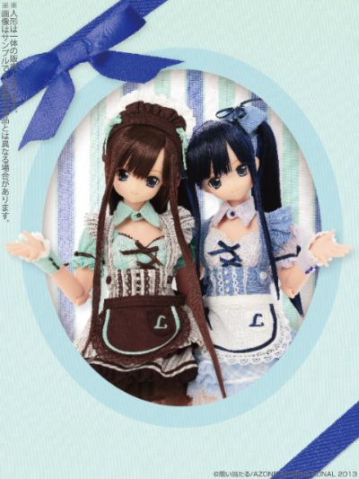 PureNeemo Mint Chocolate Ice 