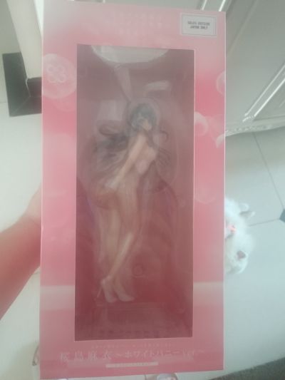 青春期笨蛋不做兔女郎学姐的梦 樱岛麻衣 白色兔女郎