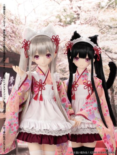 黑雷文 Regular Sales ver. 