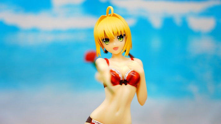 Fate/Extella 	尼禄·克劳狄乌斯 Rose Vacances