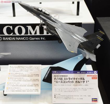 Creator Works 皇牌空战6:解放的战火 F-15E 打击鹰