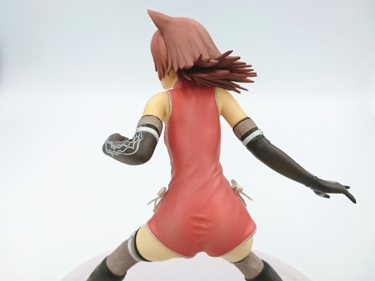 光明之风 猫