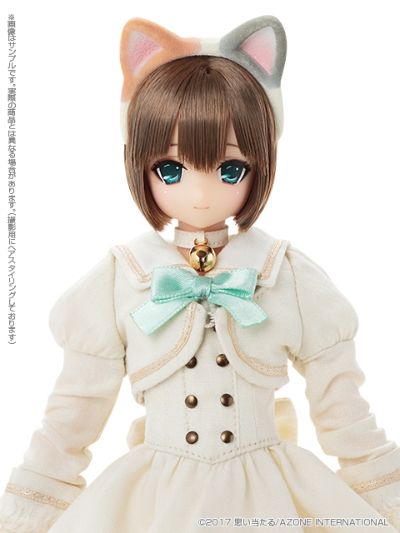 PureNeemo Azone Direct Store 