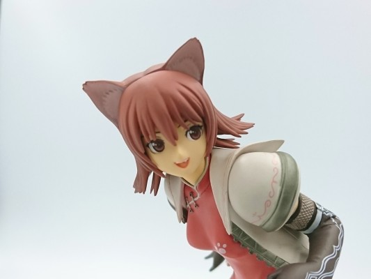 光明之风 猫