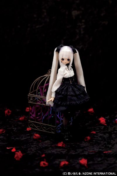 PureNeemo Secret Wonderland 