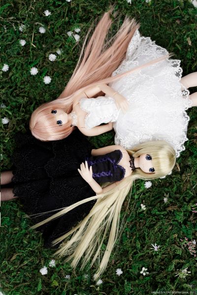 PureNeemo Commemorative ver. 