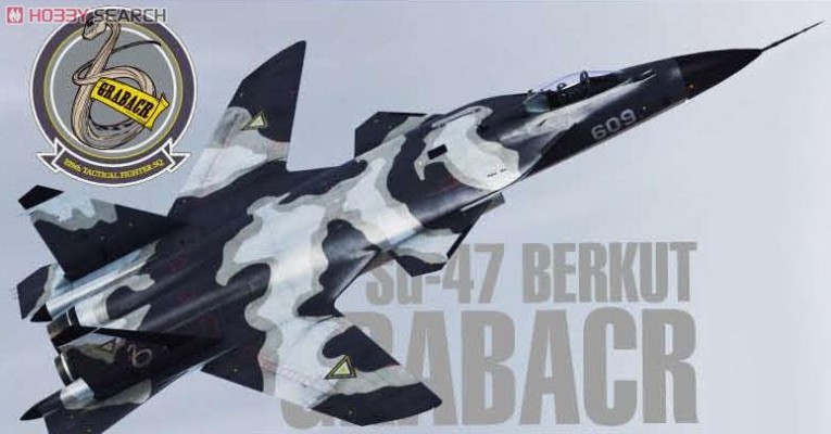 Creator Works 皇牌空战Zero:贝尔卡战争 Su-47 Berkut