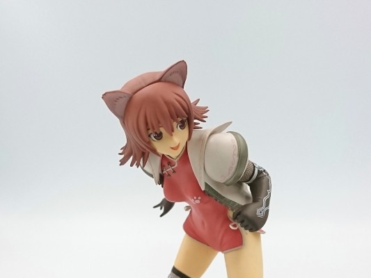 光明之风 猫