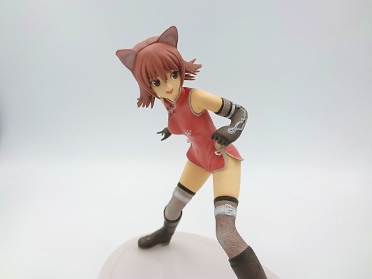 光明之风 猫