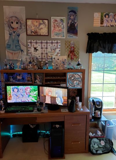 请问您今天要来点兔子吗？ 智乃 夏制服