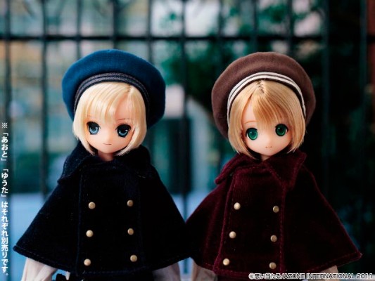 PureNeemo Winter 