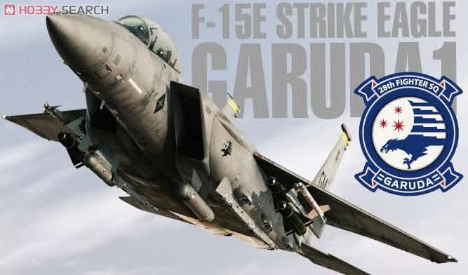 Creator Works 皇牌空战6:解放的战火 F-15E 打击鹰