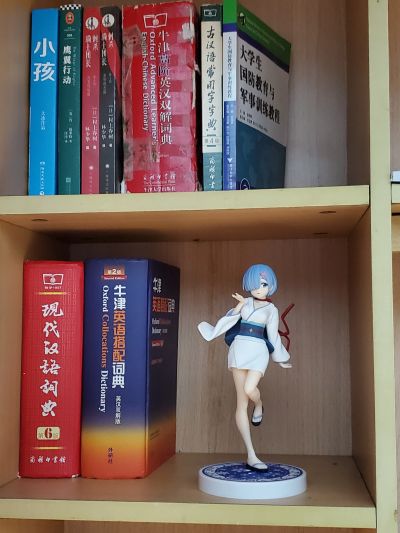 Re：从零开始的异世界生活 蕾姆 雪女