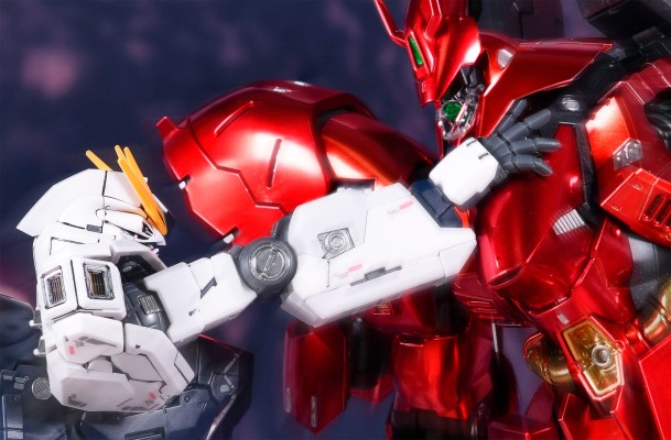 RG 1/144 沙扎比［特殊涂层］