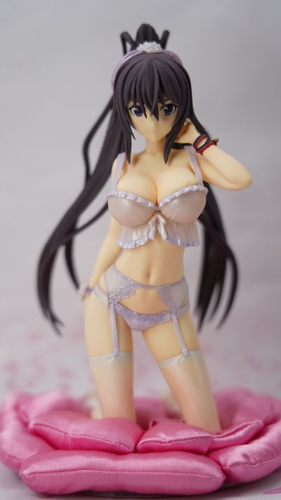 DreamTech LingerieStyle 系列 IS〈无限斯特托拉斯〉 筱之之帚 内衣