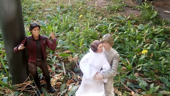 S.H.Figuarts 复仇者联盟3：无限战争 星爵