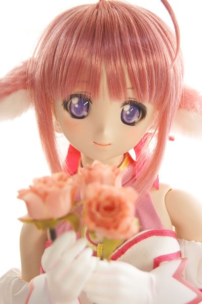 Dollfie Dream Sister DDS DOG DAYS 米希奥蕾·F·比斯科迪