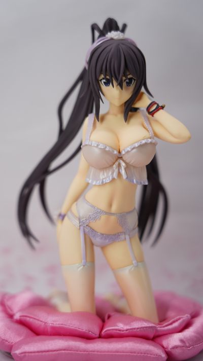 DreamTech LingerieStyle 系列 IS〈无限斯特托拉斯〉 筱之之帚 内衣