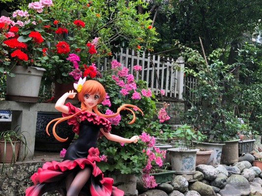 伪恋: 橘万里花