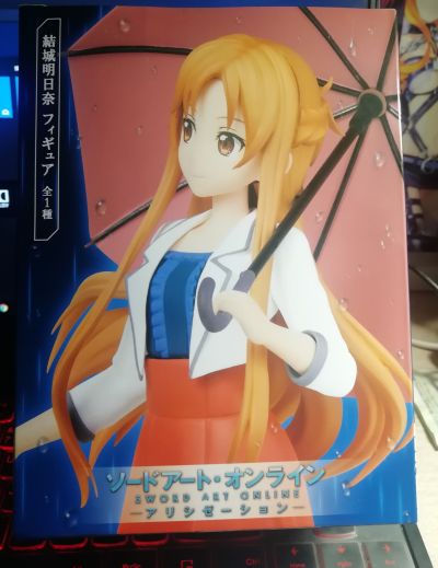 刀剑神域 Alicization 亚丝娜