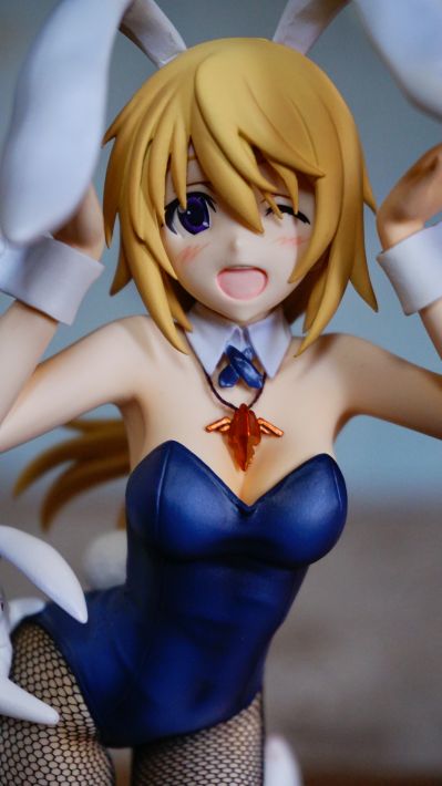 4-Leaves IS〈无限斯特拉托斯〉 夏洛特・迪诺亚－兔女郎－