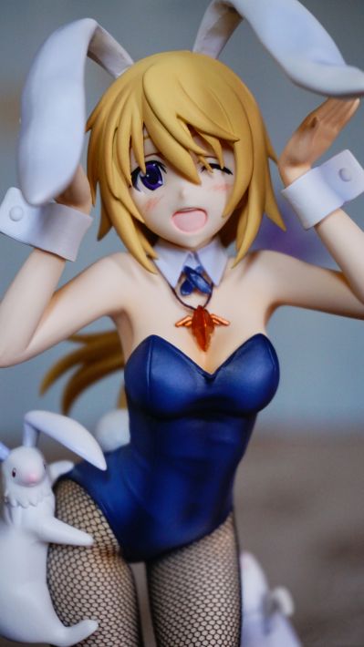 4-Leaves IS〈无限斯特拉托斯〉 夏洛特・迪诺亚－兔女郎－