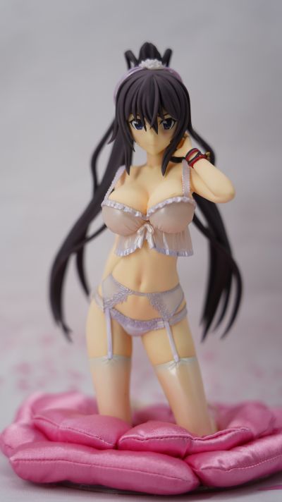 DreamTech LingerieStyle 系列 IS〈无限斯特托拉斯〉 筱之之帚 内衣