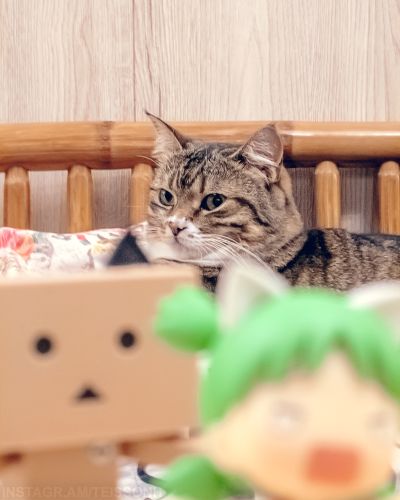 粘土人#1064 小岩井四叶