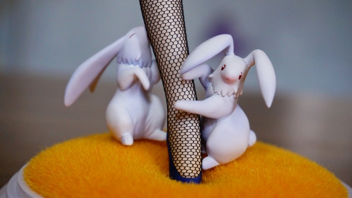 4-Leaves IS〈无限斯特拉托斯〉 夏洛特・迪诺亚－兔女郎－