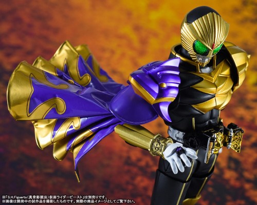 S.H.Figuarts(真骨雕制法)  假面骑士兽骑