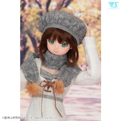 Dollfie Dream Sister DDS 偶像大师 天海春香