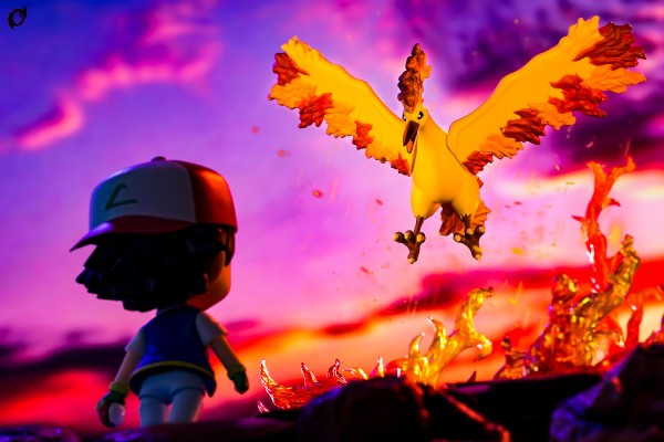 精灵宝可梦 宝可梦收藏EX EHP_05 火焰鸟