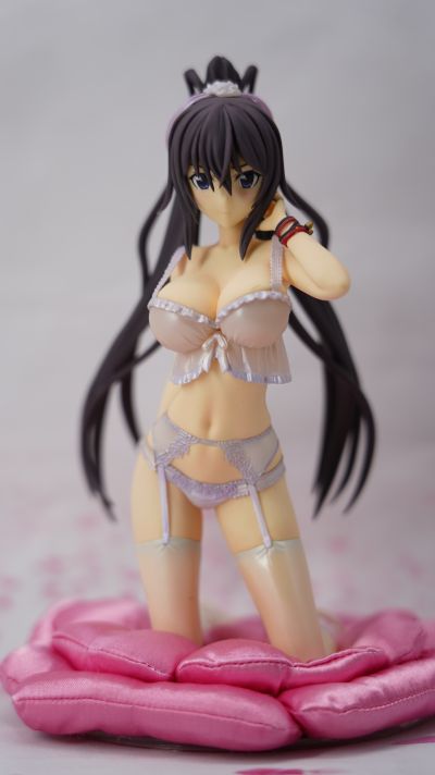 DreamTech LingerieStyle 系列 IS〈无限斯特托拉斯〉 筱之之帚 内衣