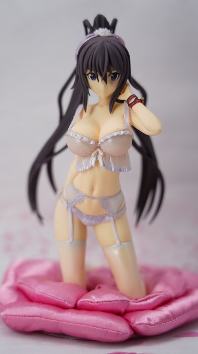 DreamTech LingerieStyle 系列 IS〈无限斯特托拉斯〉 筱之之帚 内衣