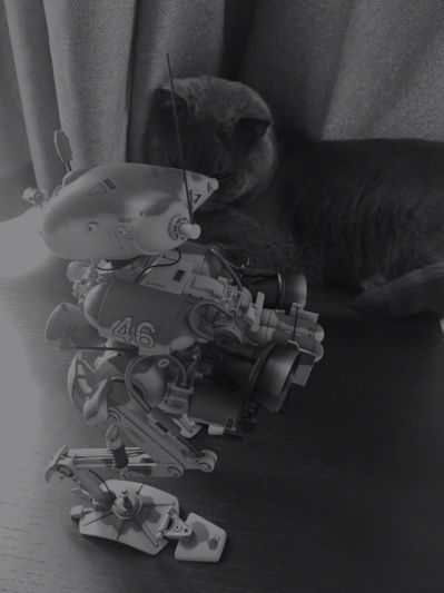 Ma.K. Pz.Späh 1124 Luna Gans