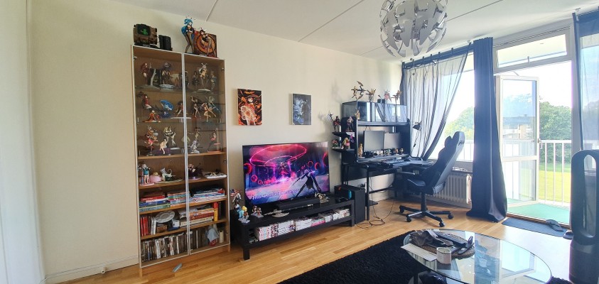 龙与虎 逢坂大河 泳装Ver.