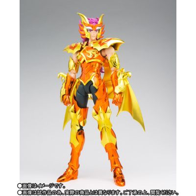 圣闘士圣衣神话EX  斯库拉伊奥