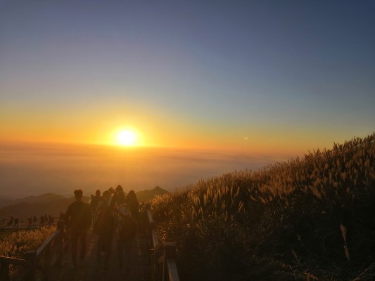 粘土人#890 奇诺之旅  奇诺&汉密斯