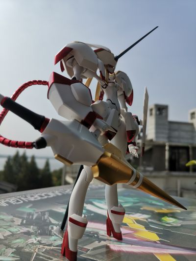 GSC的鹤望兰，重涂和少量改装。