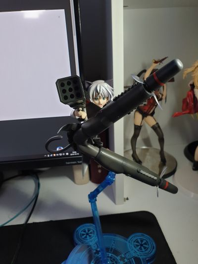 桑妮亚‧V‧利特维亚克